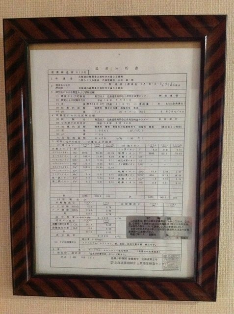 20140506_794_二股ラジウム温泉・温泉分析表.jpg