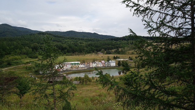 s-1280-IMG_20200814_143244.jpg