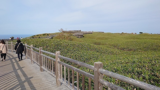 s-640-DSC_0233.jpg