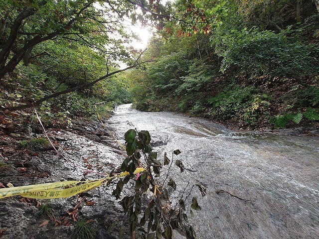 s-640-20201010_093339.jpg