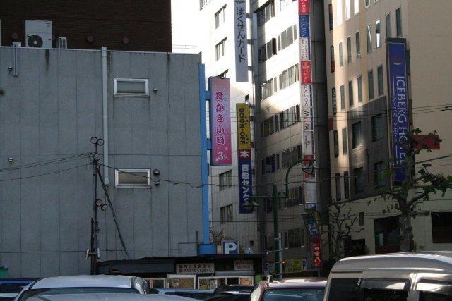 画像を等倍で表示します 遠景