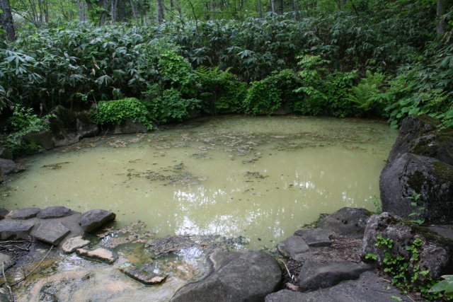 34ニセコ薬師温泉20070529_露天風呂全景.jpg