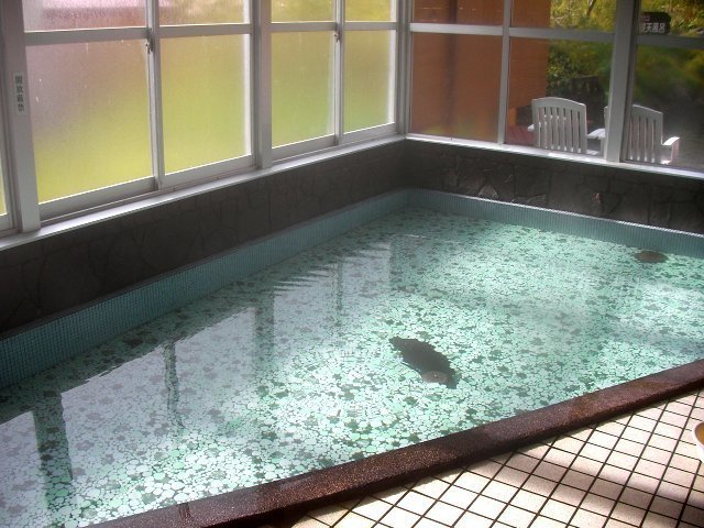 50_新見本館20080928_第２浴場・_内風呂.jpg