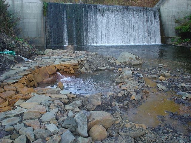 s-DSC00243.jpg
